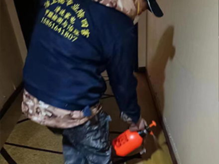 蟲(chóng)控消殺